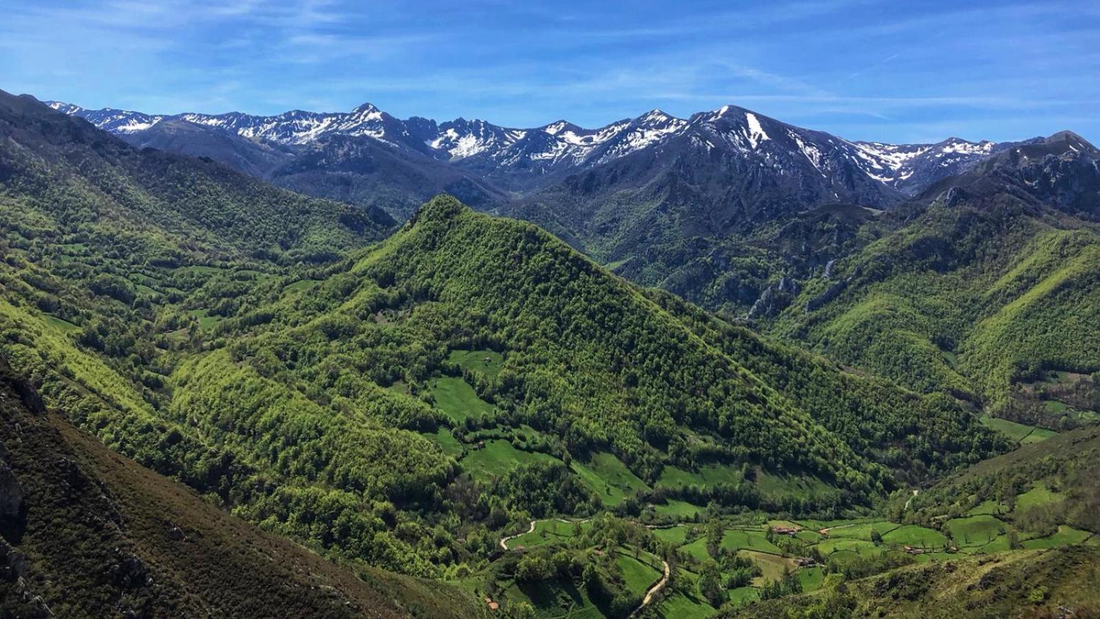 La Berrea Cabanaquinta Aller Eksteriør billede
